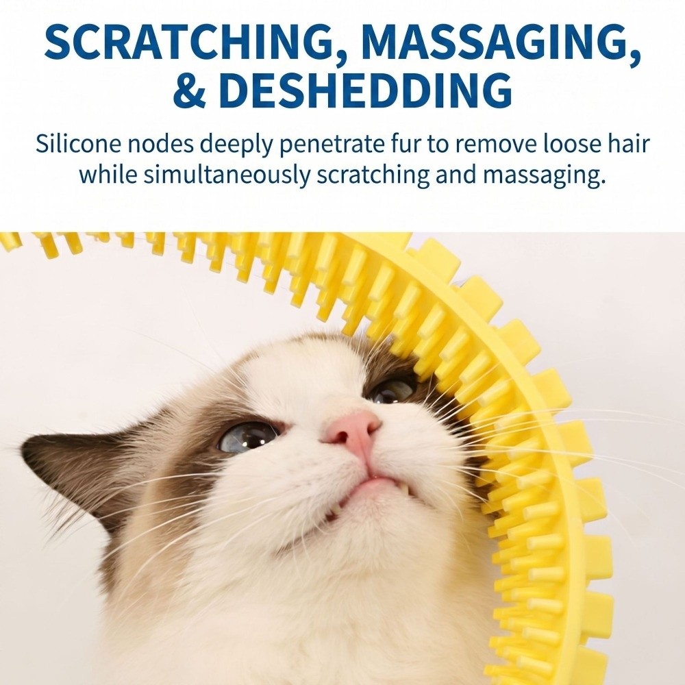 Túnel de plástico para gatos,  - House Hair Care reseña y precio